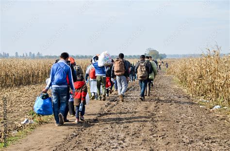 migração voluntária
